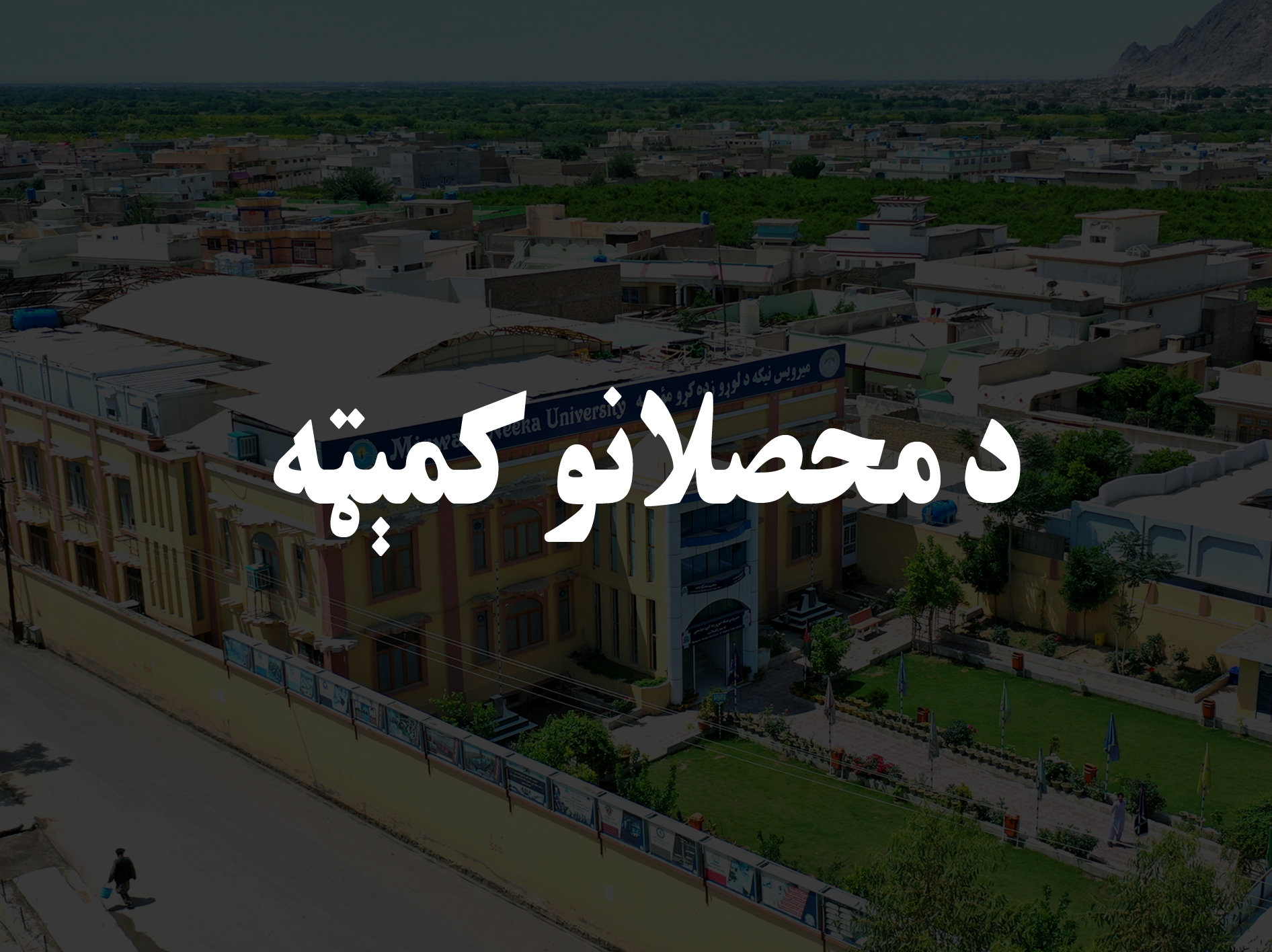 کمیته محصلان