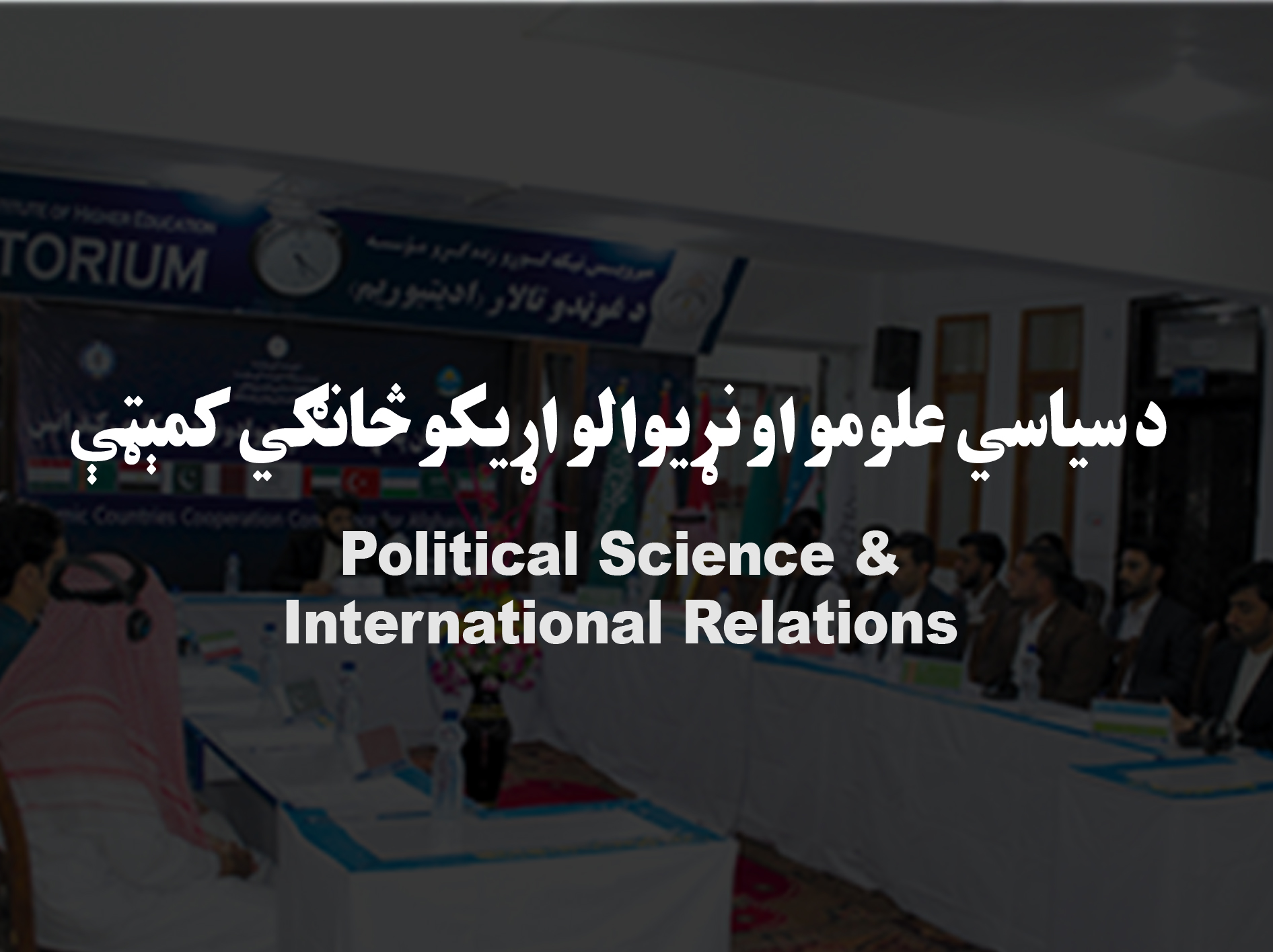 د سیاسی علوم او نړیوالو اړیکو څانګي کمیټې